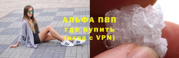 кокс Корсаков