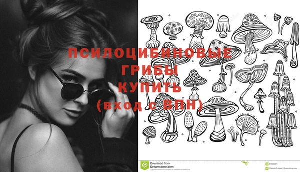 кокс Корсаков