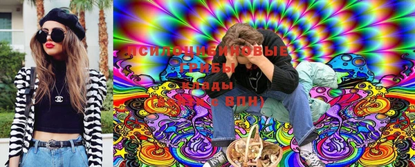 хмурый Коряжма