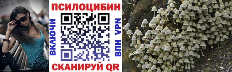 Галлюциногенные грибы Cubensis  Купить закладки  Людиново 