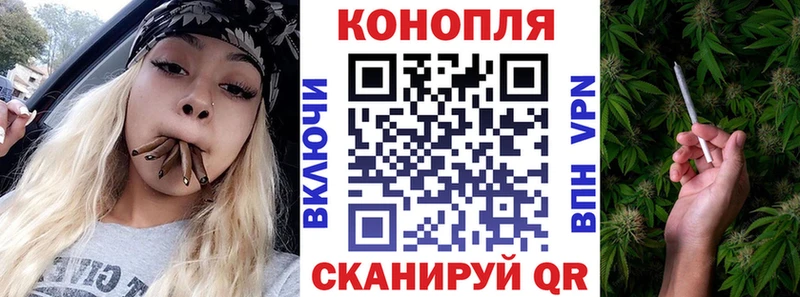 Каннабис планчик  Купить закладки  Людиново 